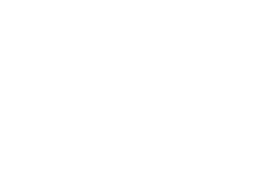 rose_white