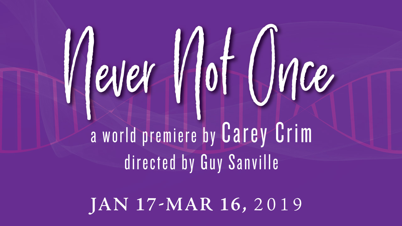 "Never Not Once" a world premier by Carey Crim runs January 17, 2019 to March 16, 2019