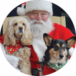 santa paws website homepage event