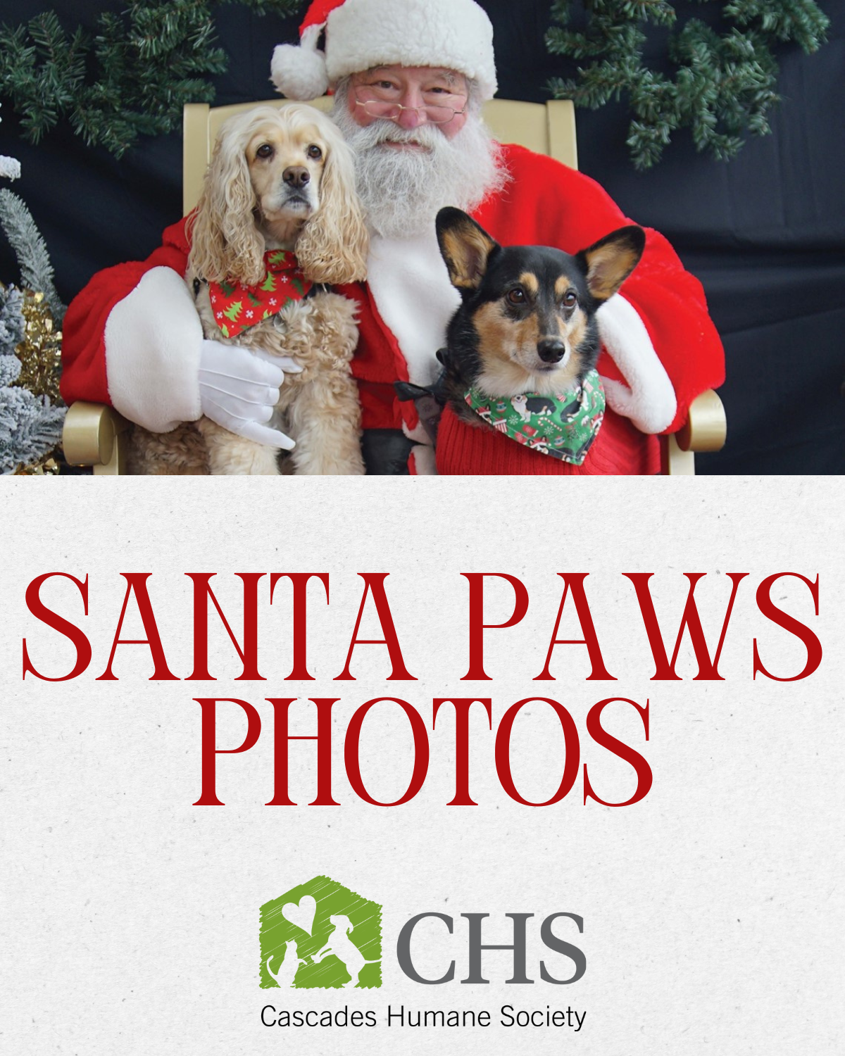 santa paws website homepage