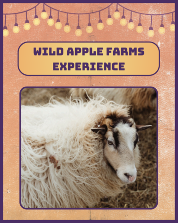 Wild Apple Farms Experience