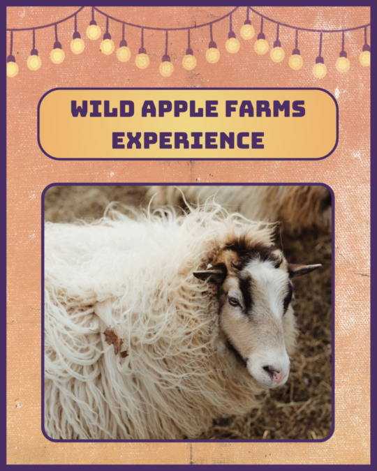 Wild Apple Farms Experience